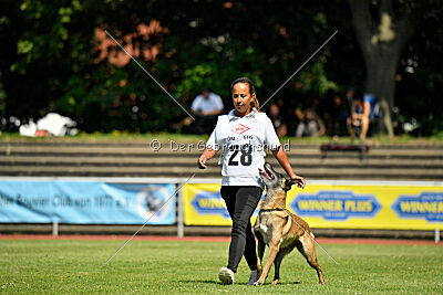 Stylish Motion`s Apple